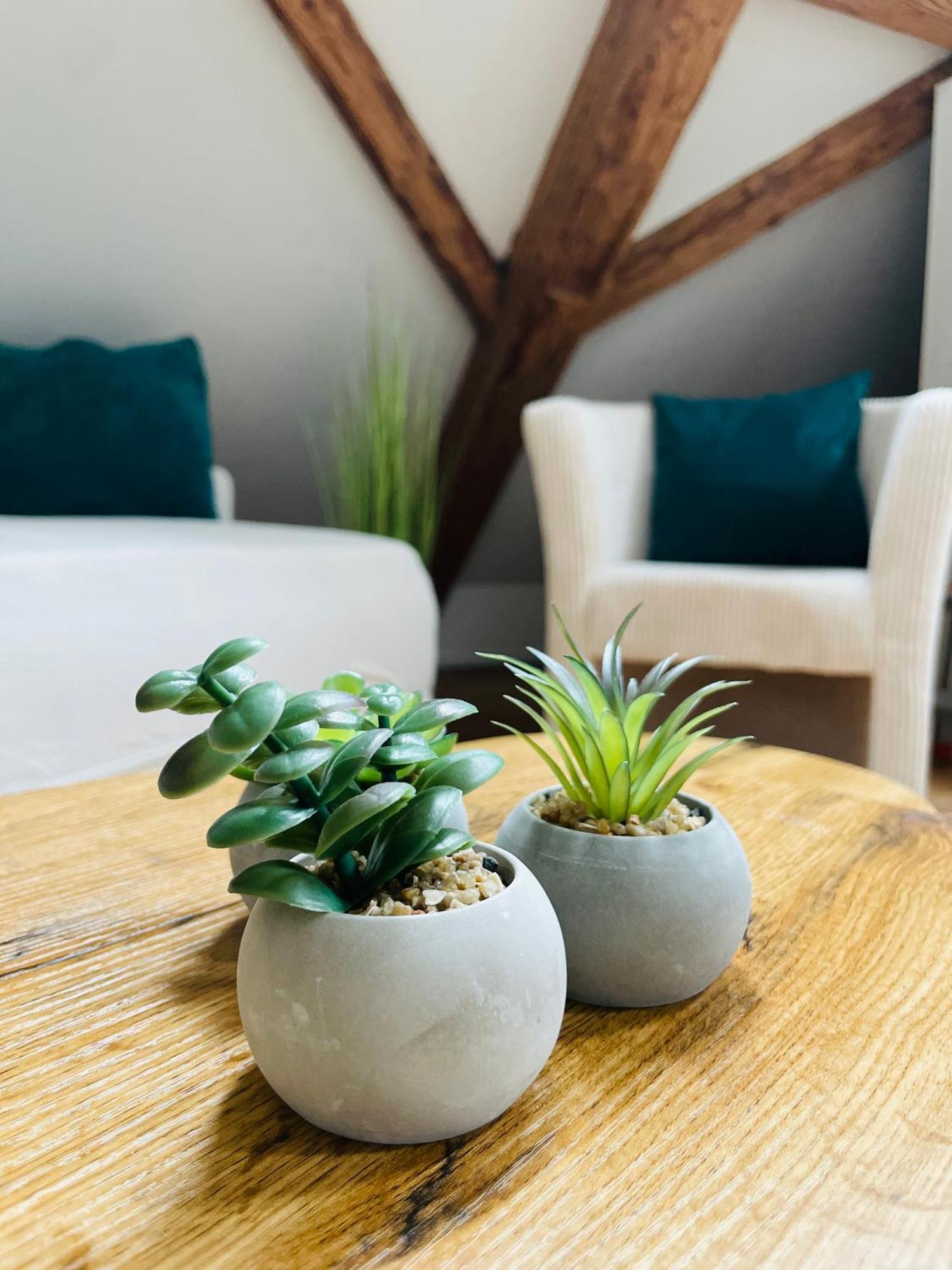 Appartement Villa Seeliebe Tägerwilen Kültér fotó