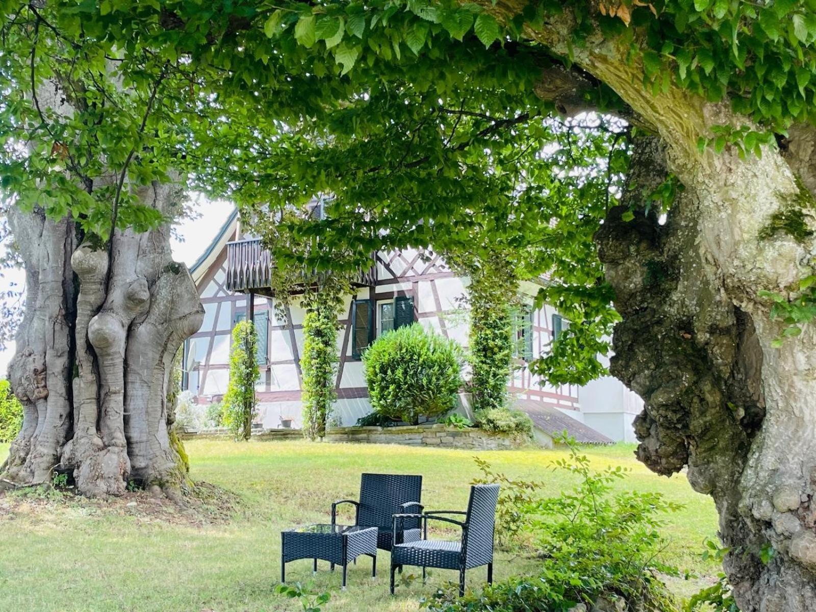 Appartement Villa Seeliebe Tägerwilen Kültér fotó